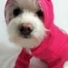 RockinDogs Hot Pink DIVA Knit Dog Hoodie