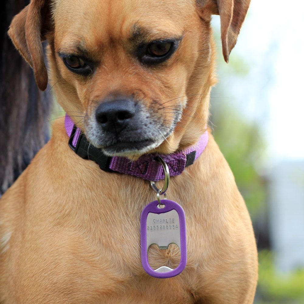 Personalized Dog Collar ID Tag Bottle Opener