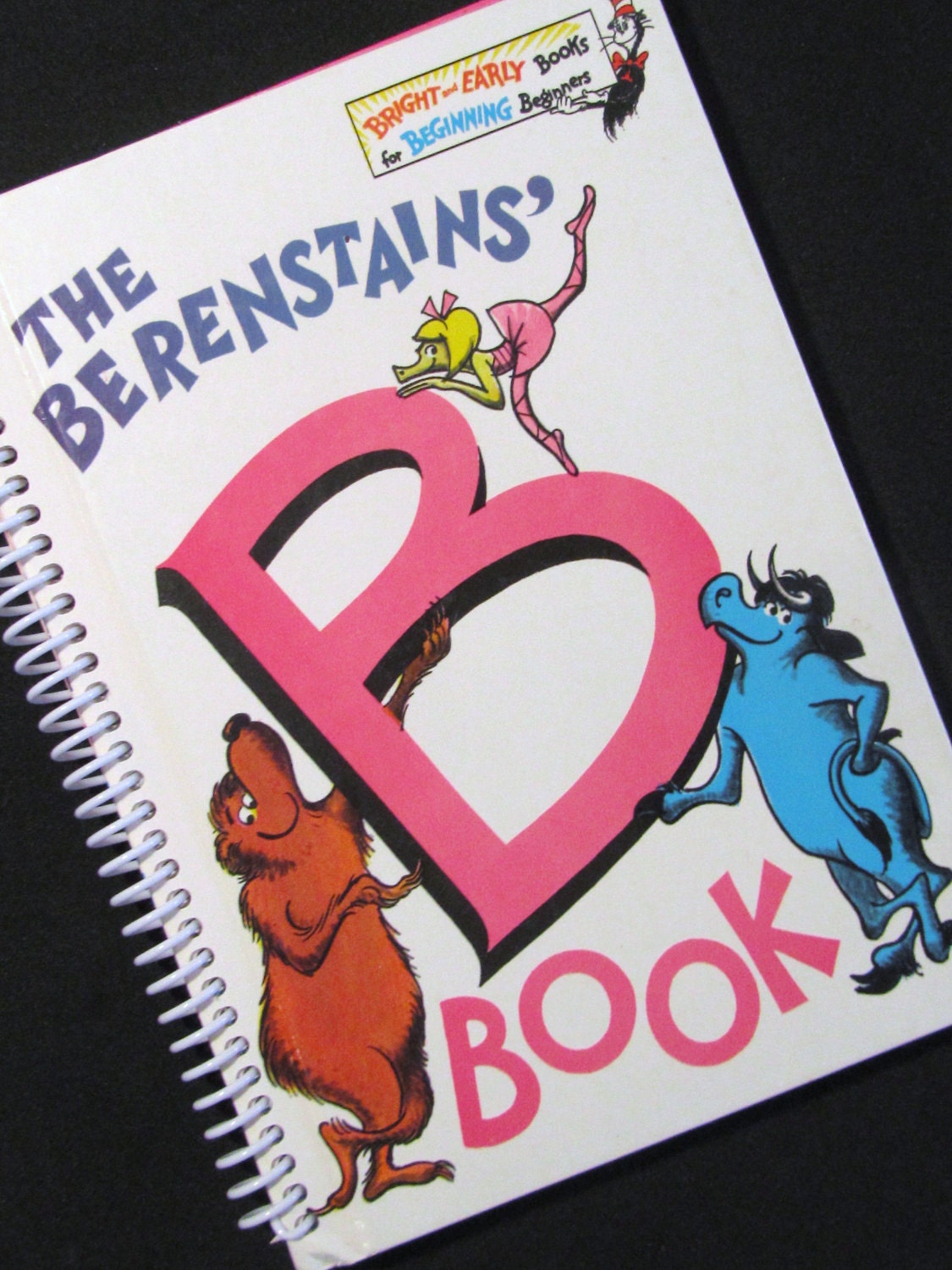 B BOOK Berenstain Bears Recycled and Earth Friendly - Spiral - Beginning Reader Book seuss