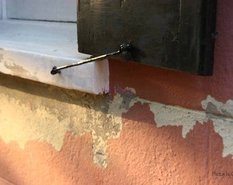 Old Paint on a historical Charleston, SC house  8x10