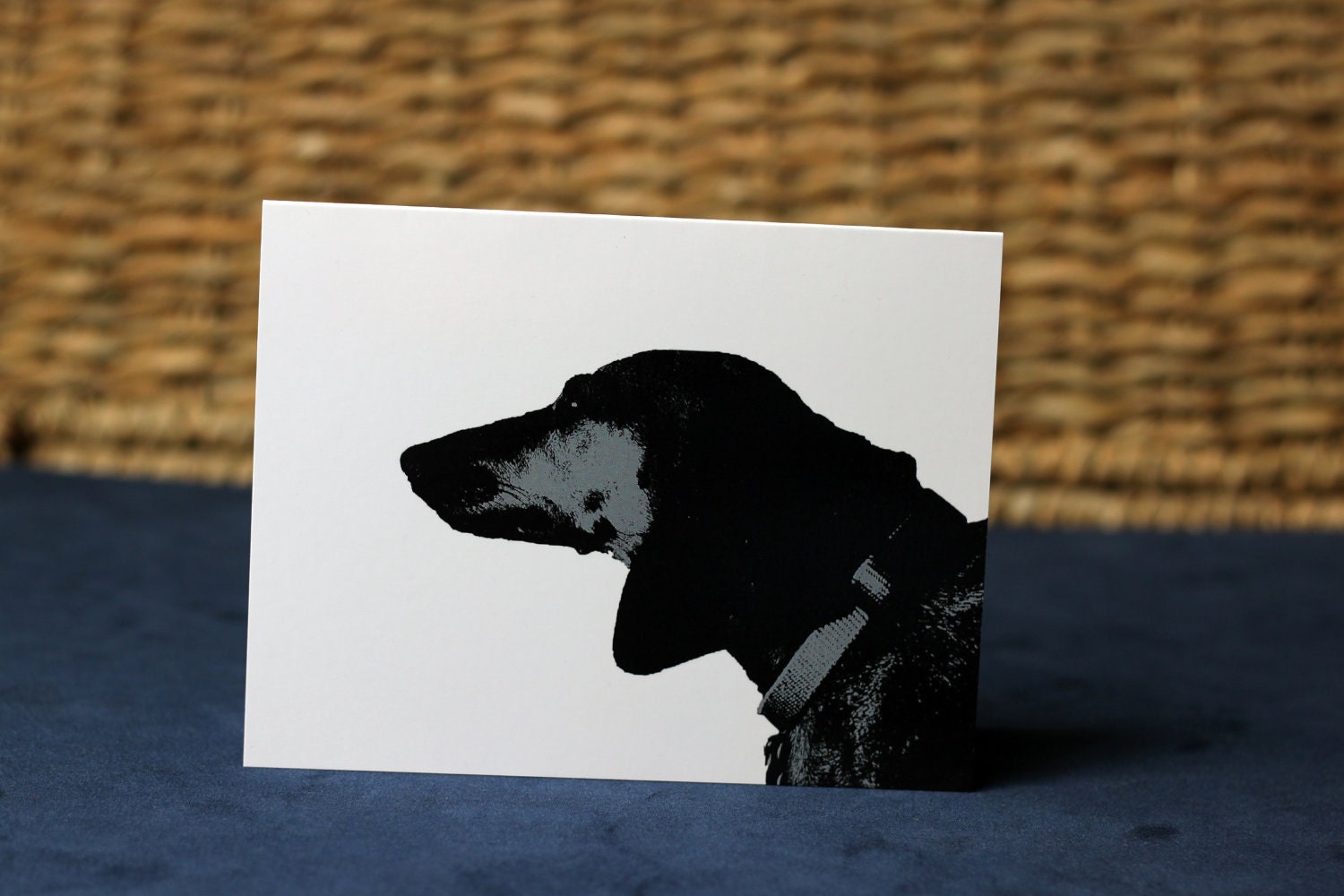 Dachshund Cards- set of 5, blank 4.25x5.5"