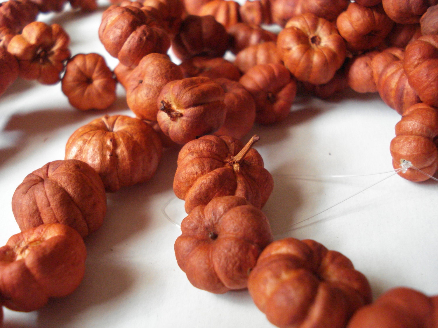 Mini Pumpkin Garland - Natural Dried Putka Pod Garland