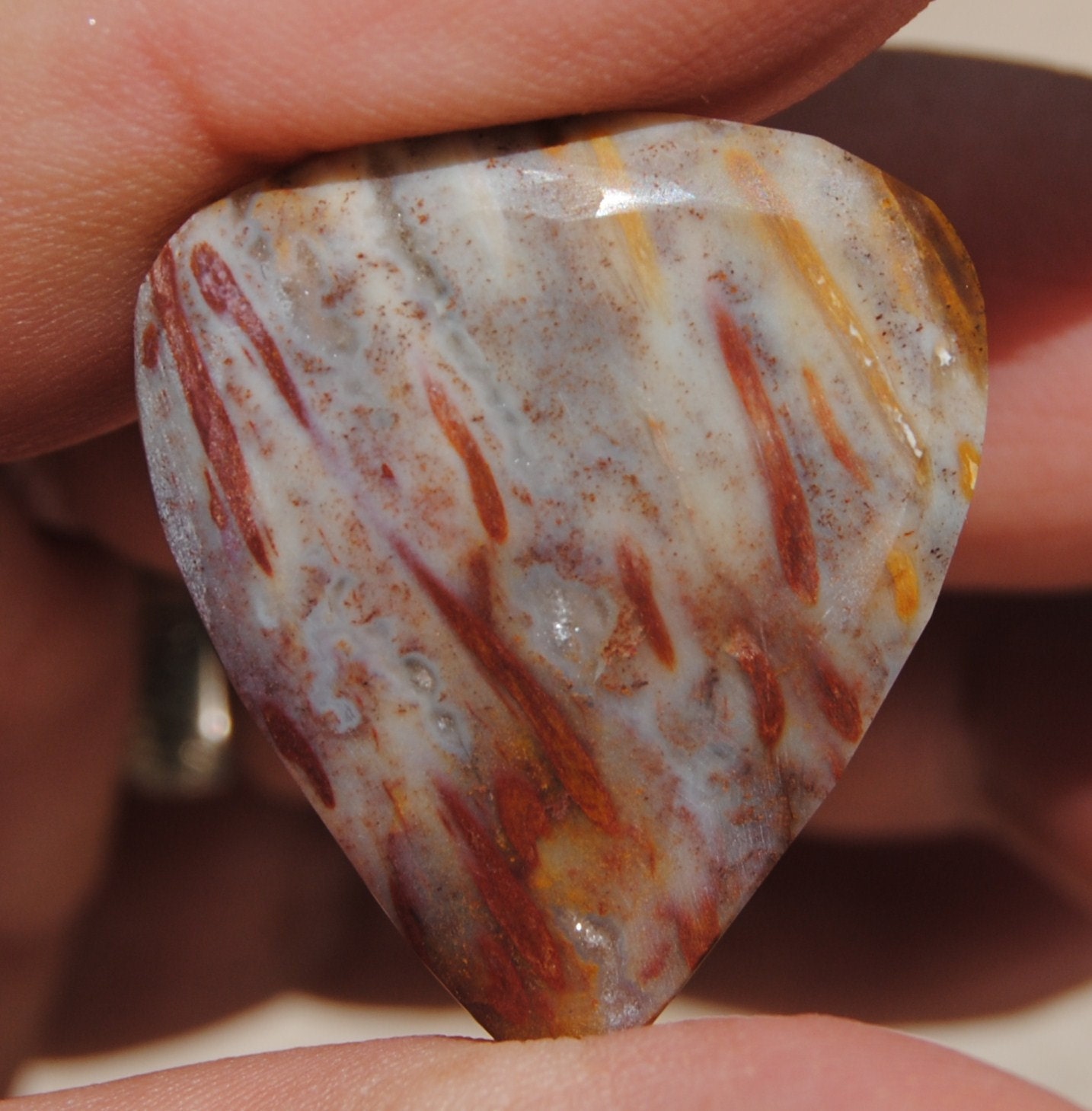 Petrified Fossil Wood Cycad Guitar pick Custom Hand made