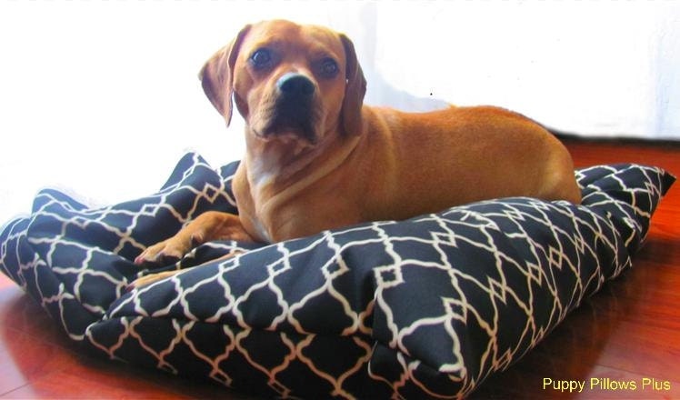 Dog Bed Cover Black & Cream Sz Medium / Large