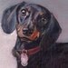 Miniature Custom Portrait - Oil painting - Dachshund - 4"x6"