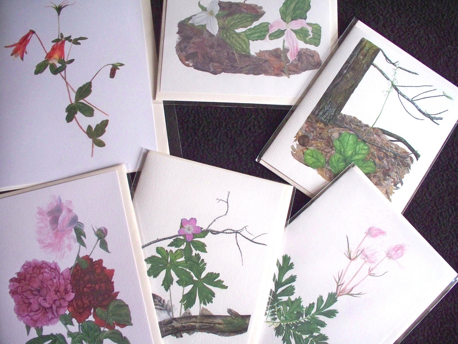 Spring Flowers Card Set of 6 - Peonies, Columbine, Wild Geranium, Shinleaf, Trilliums, Prairie Smoke