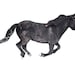 Black and White Horse Photography - Horse Photograph - Black Horse - Horse Winter - Horse Wall Art - Horse Wall Hanging - Horse Snow