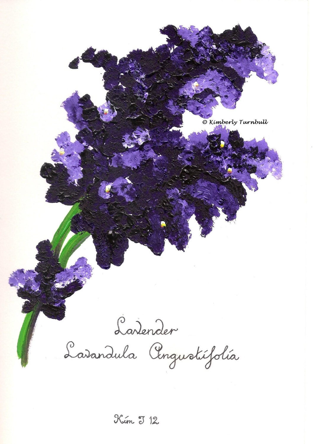Lavender Flower Painting (Purple - Original Acrylic) Lavandula Angustifolia