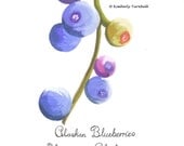 Alaskan Blueberries Fruit Painting (Purple - Original Watercolour) Vaccinium Alaskaense