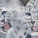 Baby Snow Leopards (Original Acrylics on Canvas) Kim.T.2011