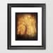 Magical Tree Hearts - Fine Art Photography 8x10 - Dreamy Forest Golden Light - Lone Tree Branches - Tonight, Tonight