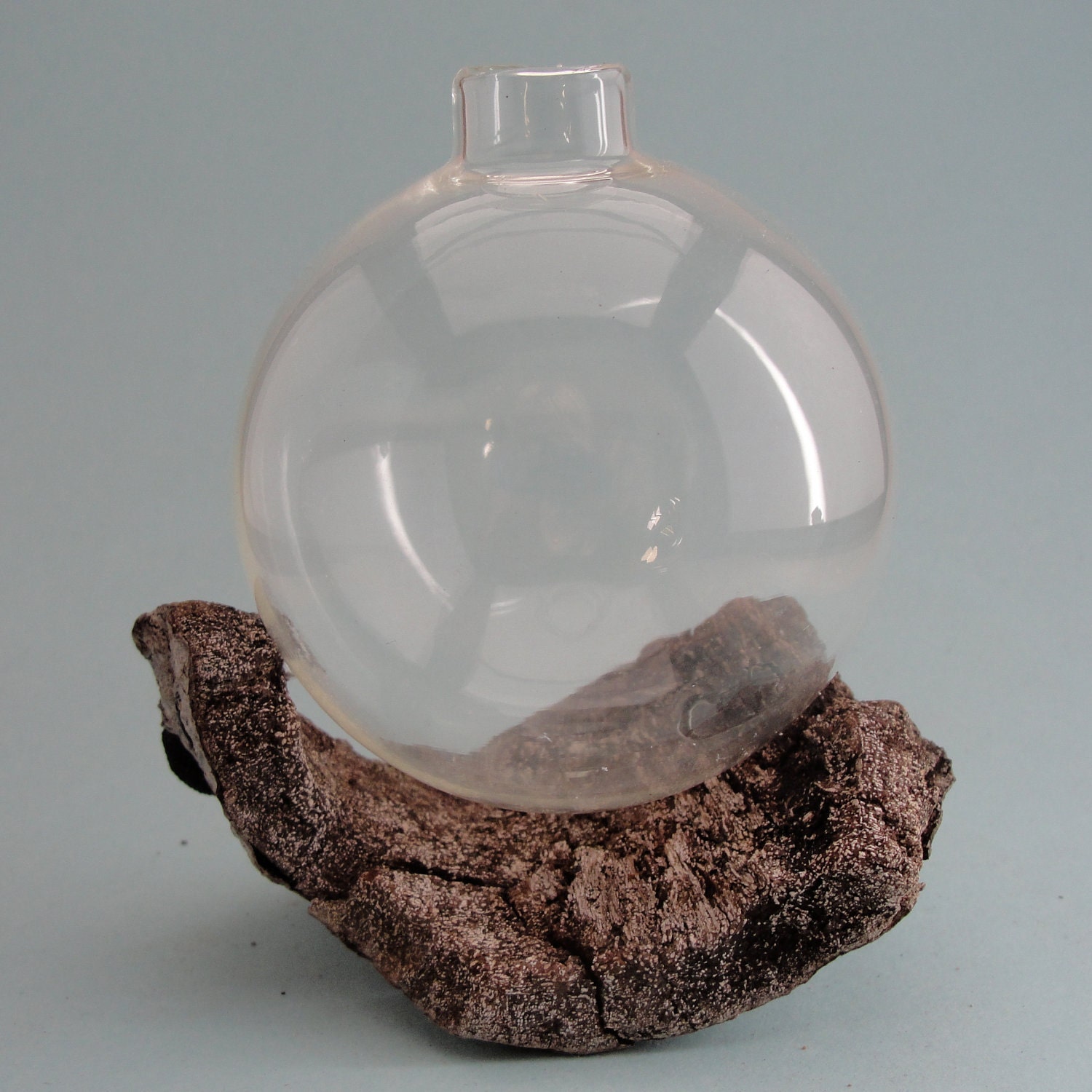 Bud Vase on Driftwood - Medium FREE SHIPPING