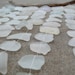 Sea Glass & Driftwood Mobile / Suncatcher - Clear/White