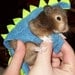 The ORIGINAL Dinosaur Costume for Hamster (Syrian)