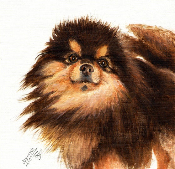 Original Oil DOG Portrait Painting POMERANIAN Artwork Art from Artist