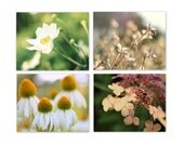 8x10 Flower Photograph Set Four Photographs Romantic Summer Garden Prints Pink Yellow White Green