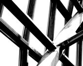 Untitled No.3