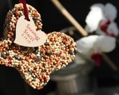Bird seed wedding favor, 12 birdseed butterfly, butterflies, love birds, eco-friendly, personalized