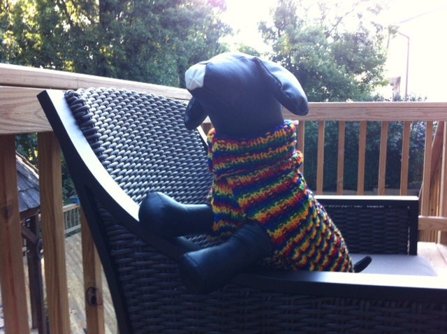 Rainbow Dog Sweater