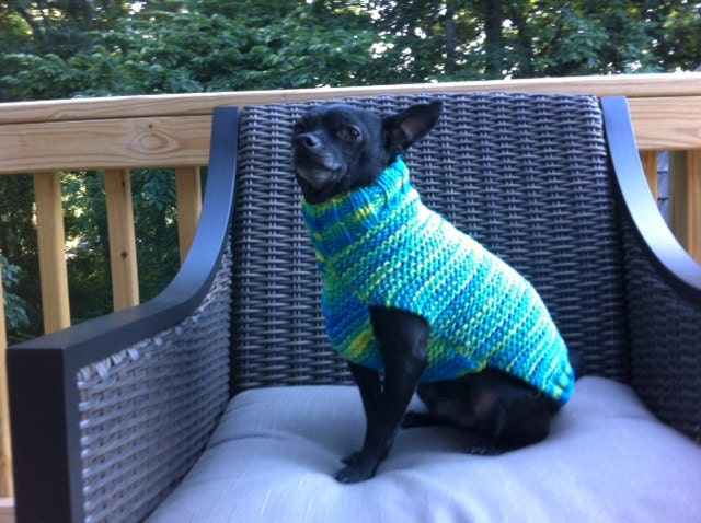 Blue Variegated Dog Sweater Hand Knitted