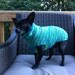 Blue Variegated Dog Sweater Hand Knitted