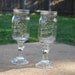 Redneck Wine Glasses - Set of 2