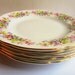 Vintage cake plates set china Tea Plate Floral U.K English Vintage Spring Flower FIVE