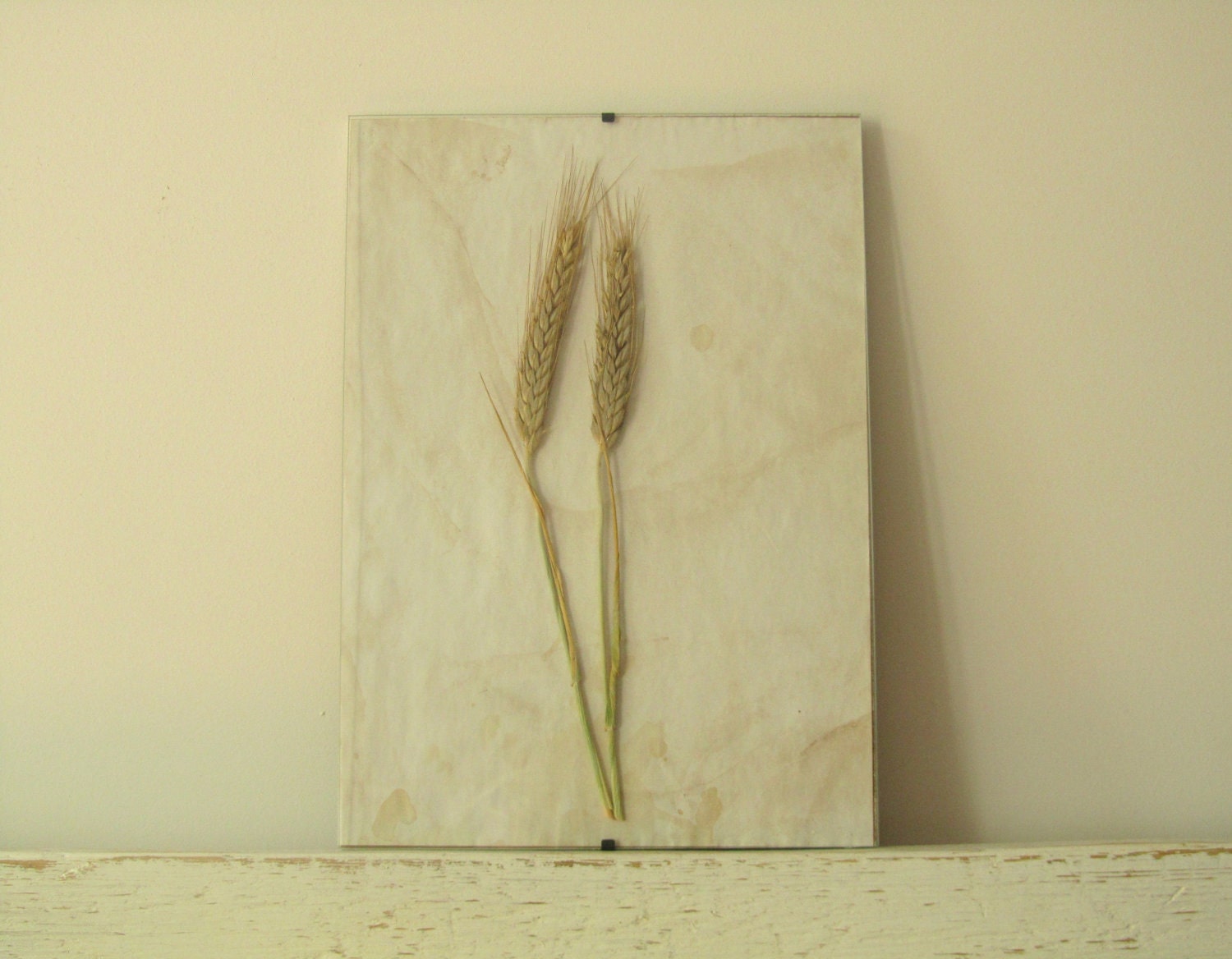 RESSERVED for Megan Leoni- Pressed Herbs- Rye in Frame (2)