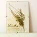 Pressed Herbs- Heather in Frame (3)