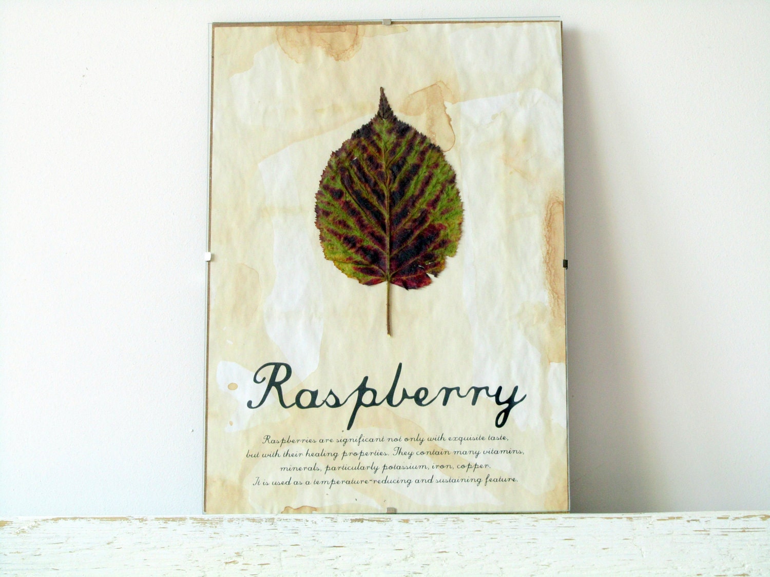 Pressed Leaf- Raspberry Leaf in Frame (2)