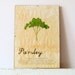 Pressed Herb- Parsley in Frame (2)