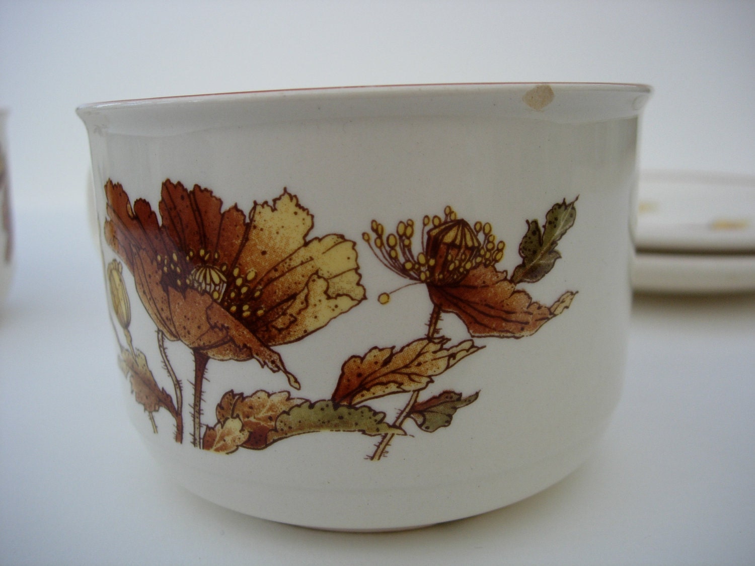 Poppy Royal Tudor Ironstone Cup and Saucer 1970s Floral Brown and Cream