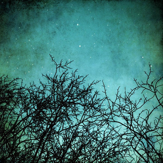 Dreamy tree photo magical night sky starlight by NancyFalsoPhotos