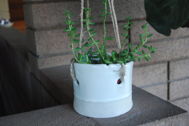 white hanging plant pot