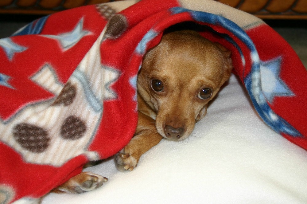 SALE - Bella Dog Bed Cover - Machine Washable - FREE Shipping Cozy Fleece Burrow Snuggle Dog Design Pet Bed Cover - bellapetbeds