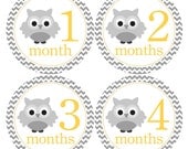 Yellow and Grey Chevron Owls Monthly Onesie Stickers for New Mom and Baby Girl or Baby Boy...Favorite Baby Shower Gift