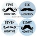 Mustache Baby Blues...Monthly Onesie Stickers for New Mom and Baby Boy...Fun Photo Prop or Baby Shower Gift