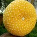 Yellow polka cotton round pillow 16"