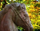 Horse Statue Fine Art Photo 11 x 14 Weathered Guardian Autumn Leaves Bokeh