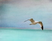 Seagull Beach Art Print - Aqua Blue Soft Pastel Surreal Ocean Beach House Sea Bird Wall Art Home Decor Photograph