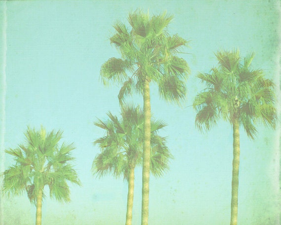 VIntage Palm Tree Beach Print - Blue Green Retro Tropical Ocean Beach House Photograph