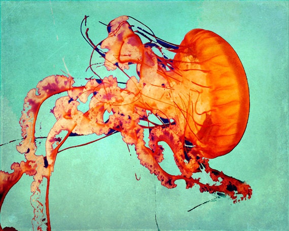 Jellyfish Art Print - Aqua Orange Beach House Home Decor Nursery Childrens Room Ocean Art Photo