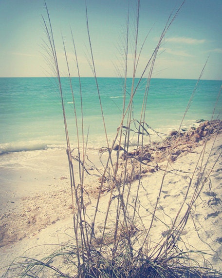 Beach Grass Art Print - Dreamy Green Aqua Beach House Wall Art Home Decor Ocean Soft Photograph