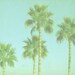 VIntage Palm Tree Beach Print - Blue Green Retro Tropical Ocean Beach House Photograph