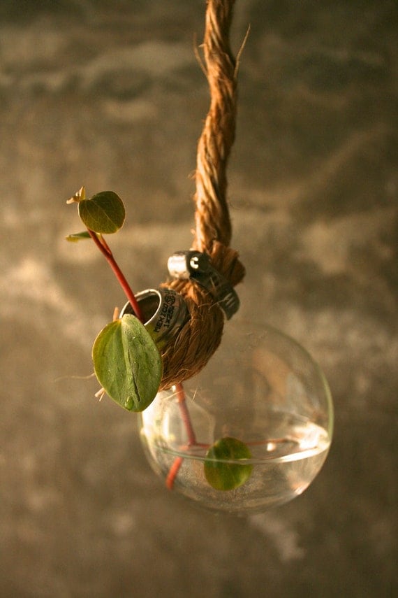 Shabby Chic Decor Hanging Lightbulb Vase Glass Vase Cottage Style - Rustic Rope Design