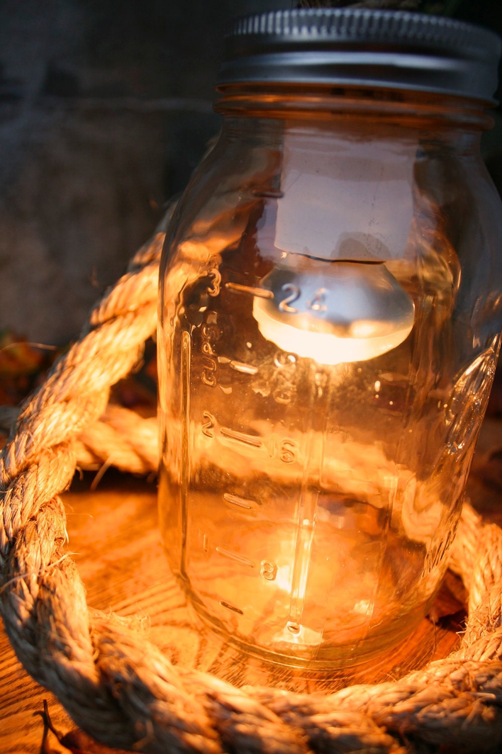 Mason Jar Lighting Rustic Wedding Decor Wedding Lighting Desk Lamp or Night Light - Vintage Industrial Rope Design