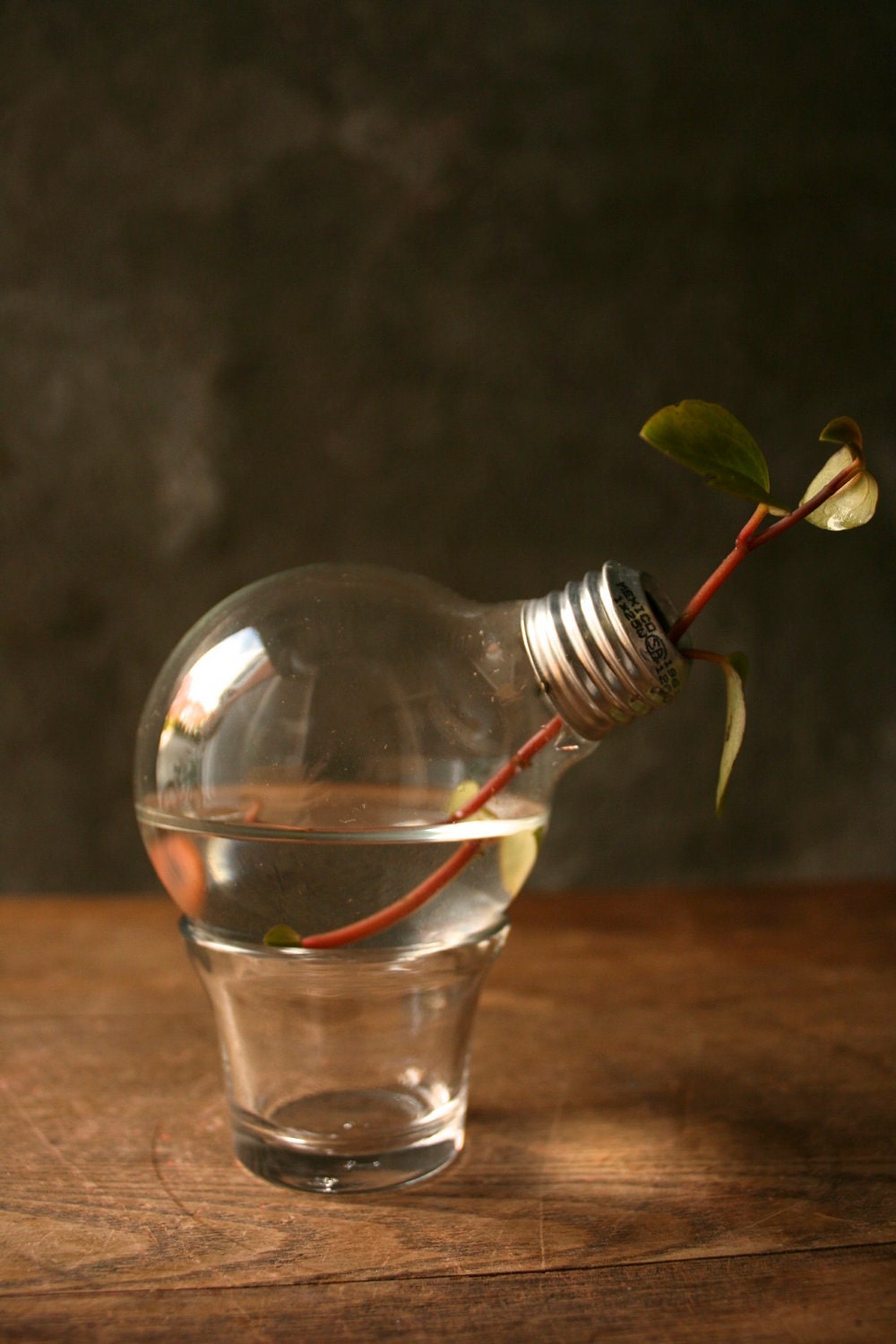 Shabby Chic Decor Lightbulb Vase Glass Vase Cottage Style - Minimalist Design