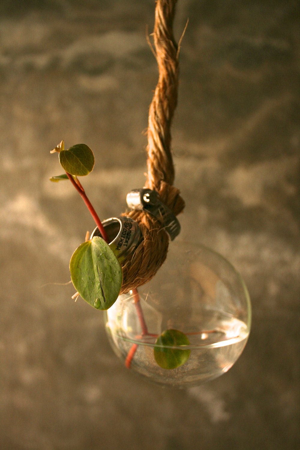 Shabby Chic Decor Hanging Lightbulb Vase Glass Vase Cottage Style - Rustic Rope Design