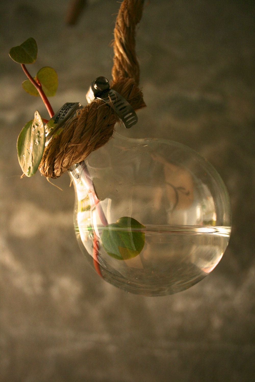 Shabby Chic Decor Hanging Lightbulb Vase Glass Vase Cottage Style - Rustic Rope Design