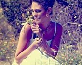 YELLOW MEADOW set